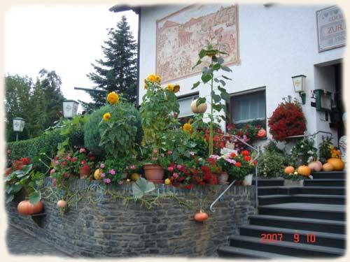 Gasthof Zur Romervilla Mehring  Buitenkant foto